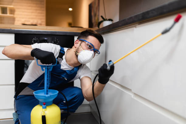 New London, CT Pest Control Company