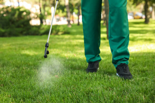 Best Pest Control Near Me  in New London, CT