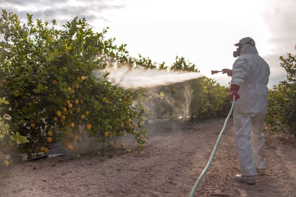 Best Pest Prevention Services  in New London, CT