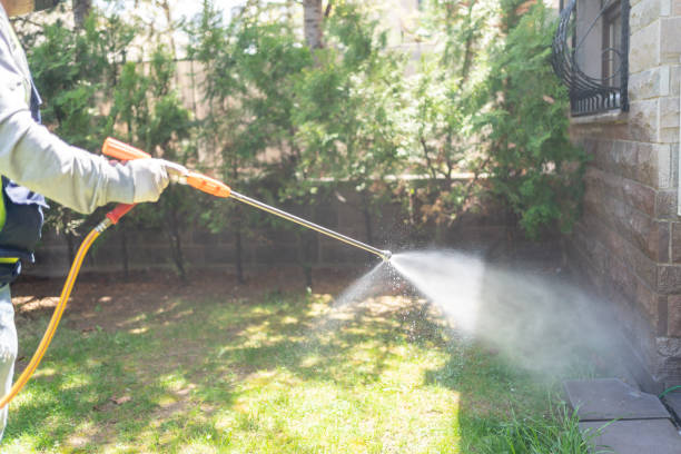 Best Affordable Pest Control Services  in New London, CT