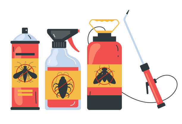 Best Wasp Removal Services  in New London, CT
