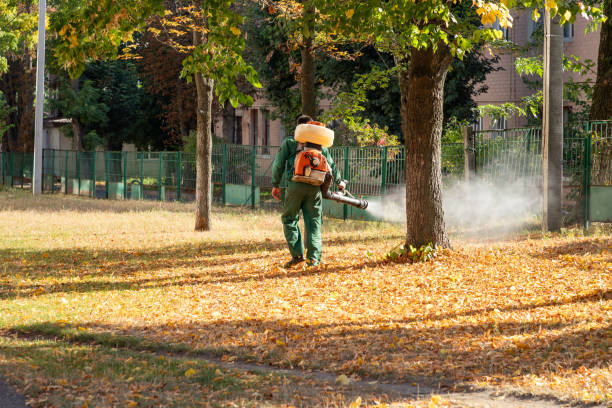 Best Rodent Control Near Me  in New London, CT